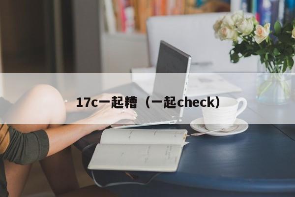 17c一起糟(一起check)