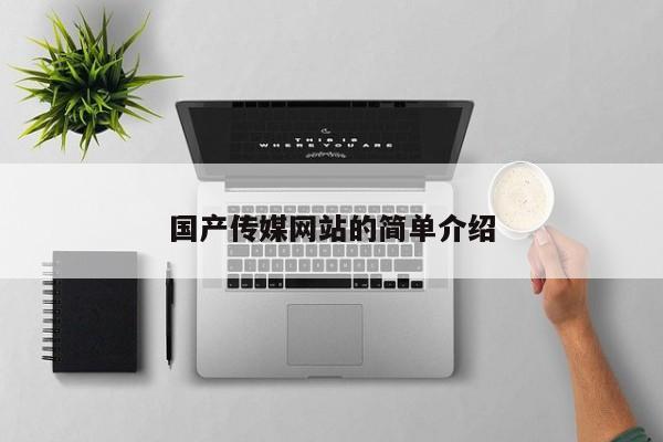 国产传媒网站的简单介绍